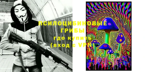 соль курить ск Богородицк